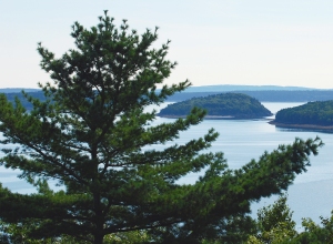 From the Park Loop Road looking towards the Porcupine Islands